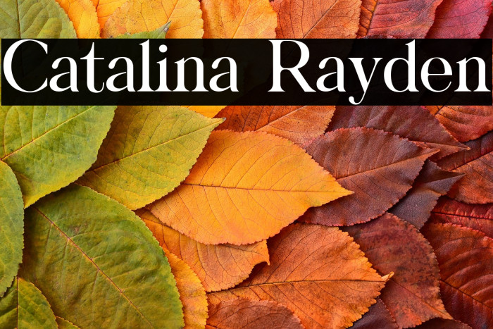 Catalina Rayden Example 3