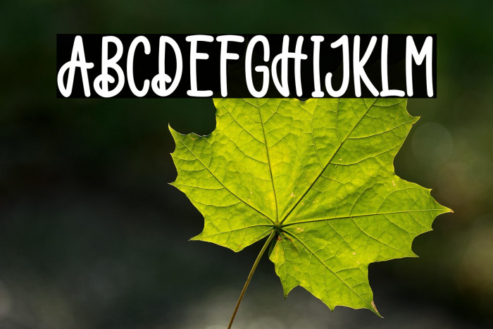 Catalina Vanessa Example 1