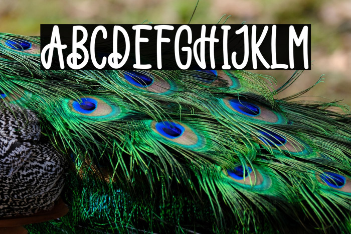 Catalina Vanessa Example 2