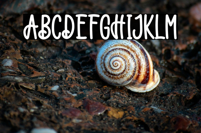 Catalina Vanessa Example 3