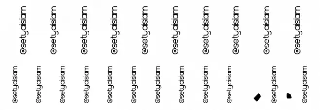 Catalina Font OTHER CHARS