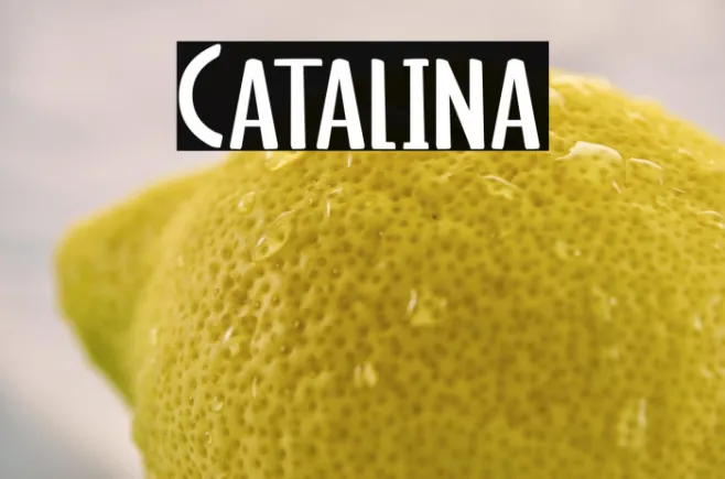 Catalina Example 1