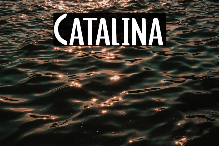 Catalina Example 2