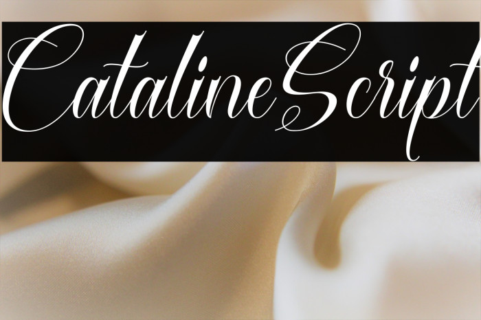 CatalineScript Example 1