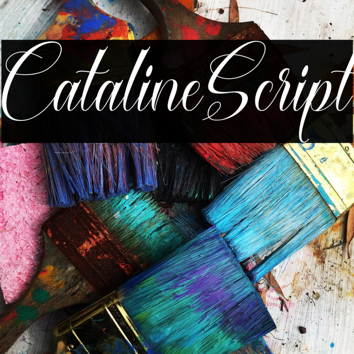 CatalineScript Example 2