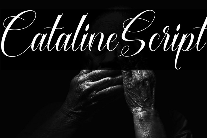 CatalineScript Example 3