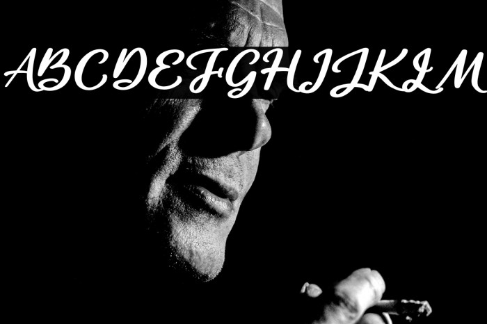 Catalish Huntera Example 1