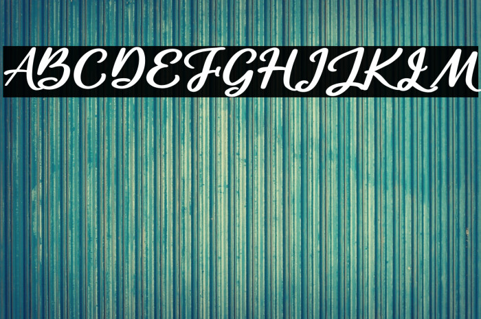 Catalish Huntera Example 3