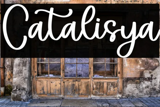 Catalisya Example 1
