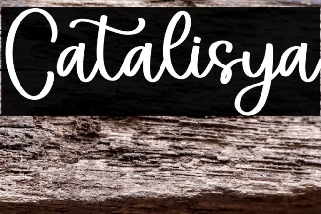 Catalisya Example 2