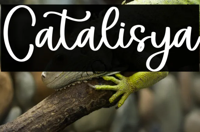 Catalisya Example 3