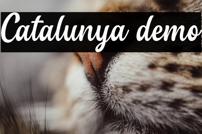Catalunya demo Example 1
