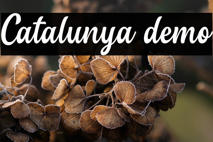 Catalunya demo Example 3