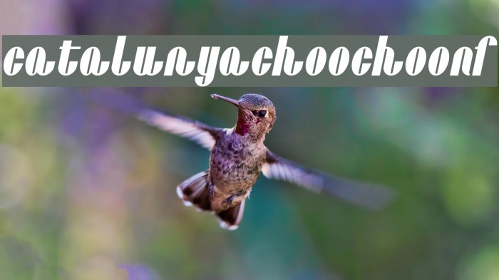 CatalunyaChooChooNF Font examples