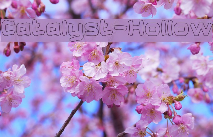 Catalyst-Hollow Font examples
