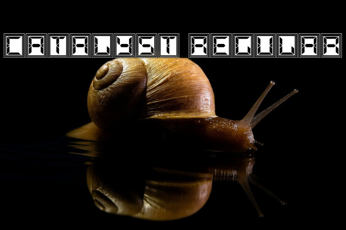 Catalyst Regular Example 3