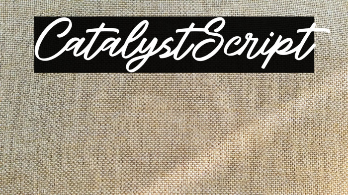 CatalystScript Example 2