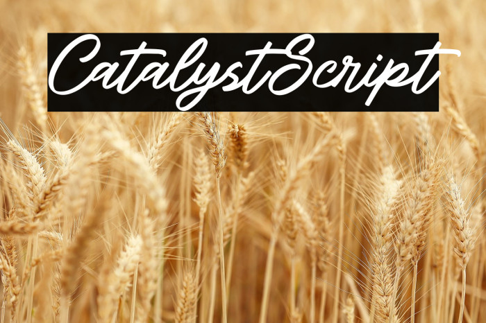 CatalystScript Example 3