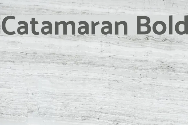 Catamaran Bold Example 1
