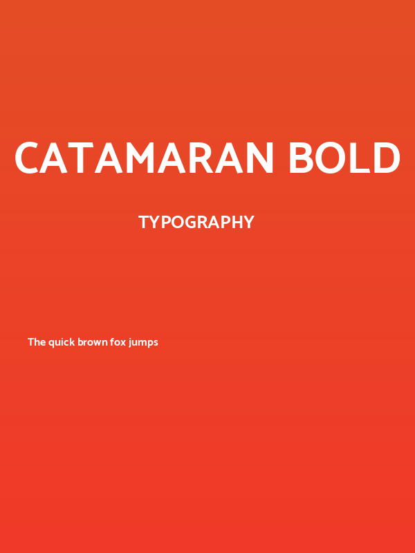 Catamaran Bold Poster