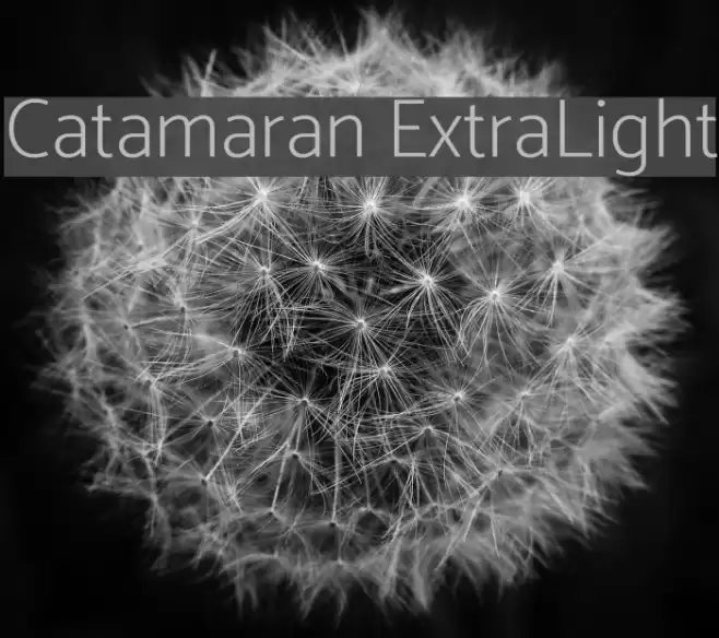 Catamaran ExtraLight Font examples