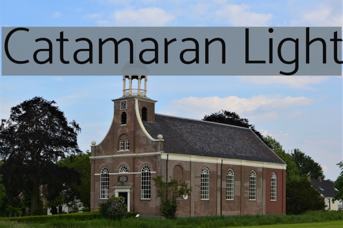 Catamaran Light Font examples