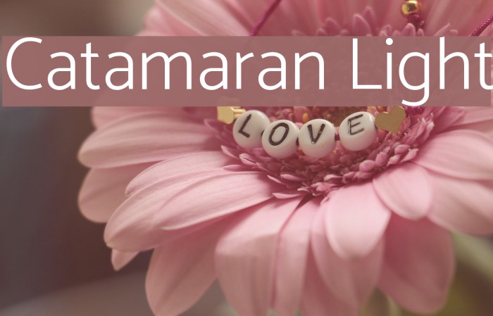Catamaran Light Font examples