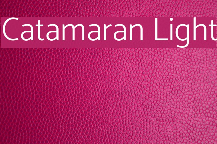 Catamaran Light Font examples