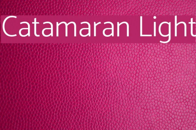 Catamaran Light Example 3