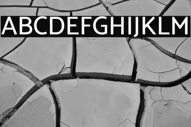 Catamaran Medium Font examples