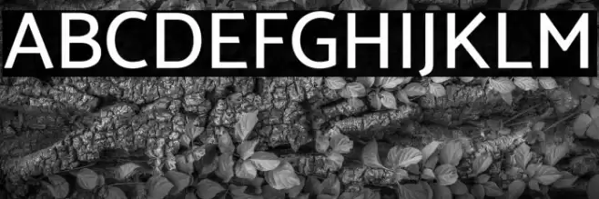 Catamaran Medium Font examples