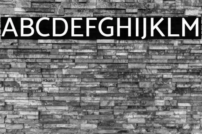 Catamaran Medium Font examples