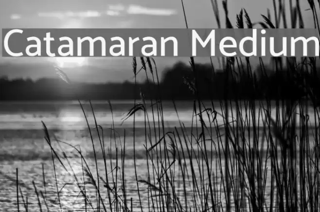 Catamaran Medium Font examples