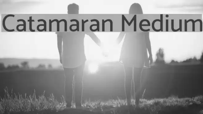 Catamaran Medium Font examples