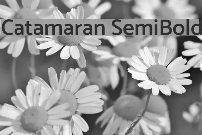 Catamaran SemiBold Font examples