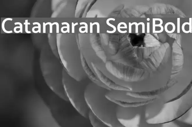 Catamaran SemiBold Font examples