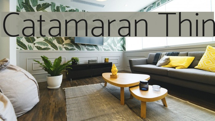 Catamaran Thin Font examples