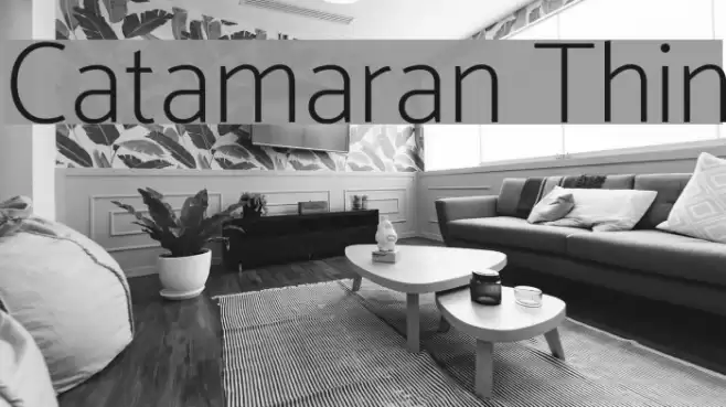 Catamaran Thin Font examples
