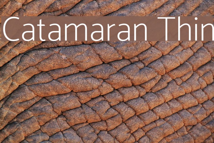 Catamaran Thin Font examples