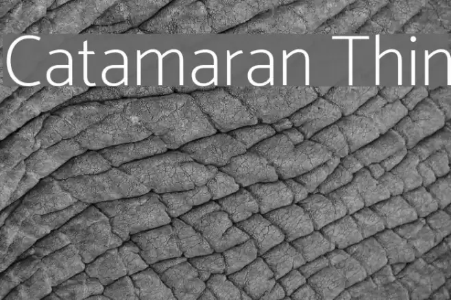 Catamaran Thin Font examples