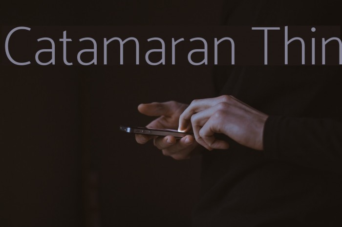 Catamaran Thin Font examples