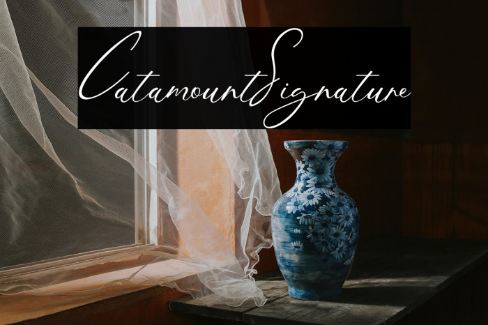 CatamountSignature Example 1