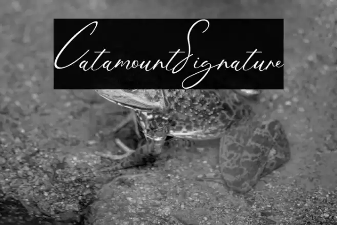 CatamountSignature Caratteri examples