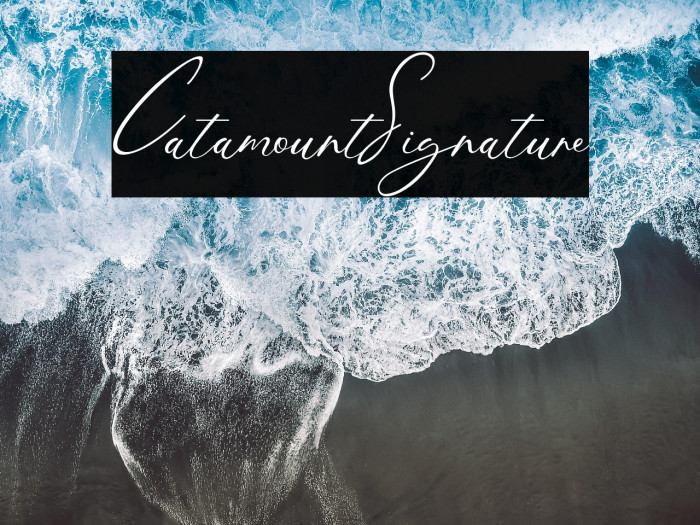 CatamountSignature Example 3