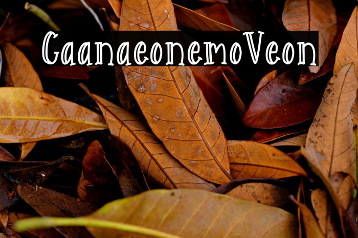 Catarina Devon Demo Version Example 1