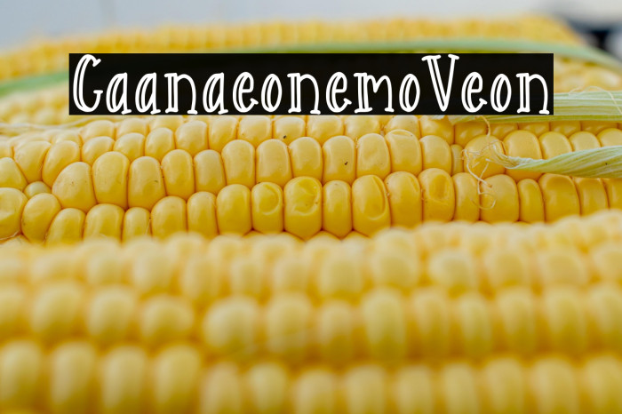 Catarina Devon Demo Version Example 2