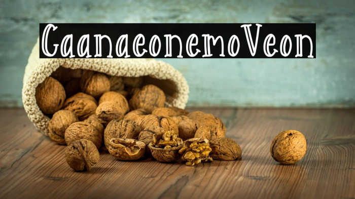 Catarina Devon Demo Version Example 3