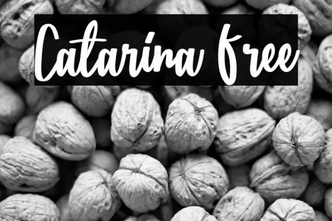 Catarina Free Font examples