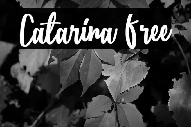 Catarina Free Font examples