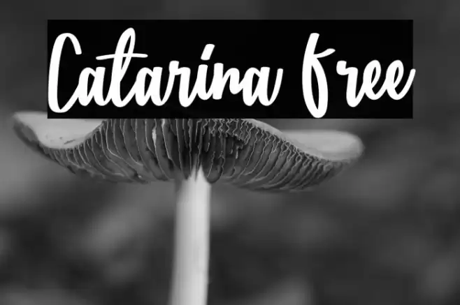 Catarina Free Font examples